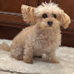 Meet your Posher, Doreen